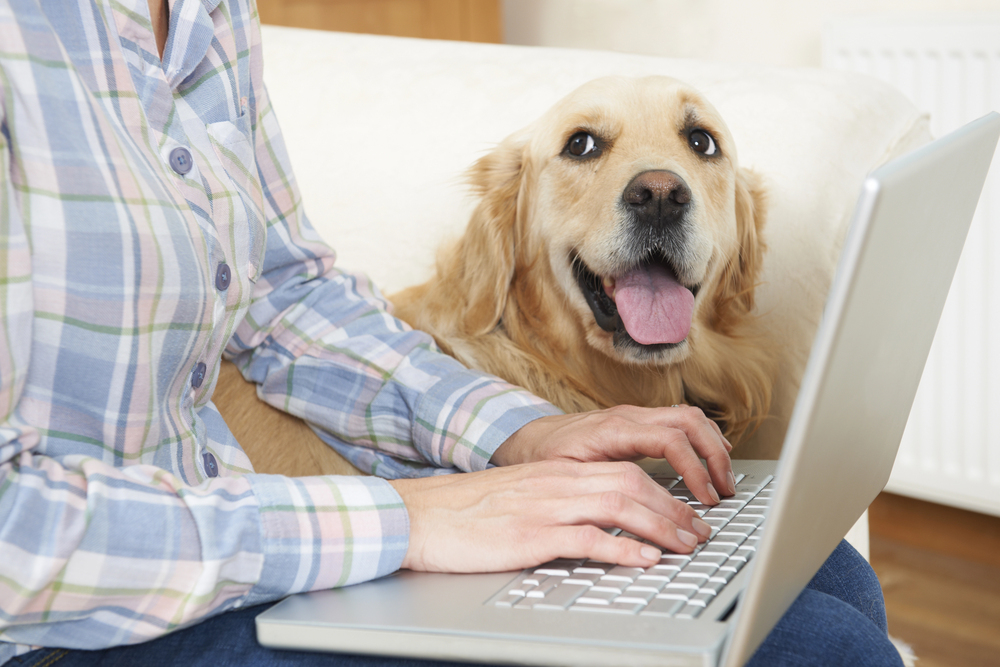 The Future of Pet Care: How Virtual Vets Are Changing the Industry